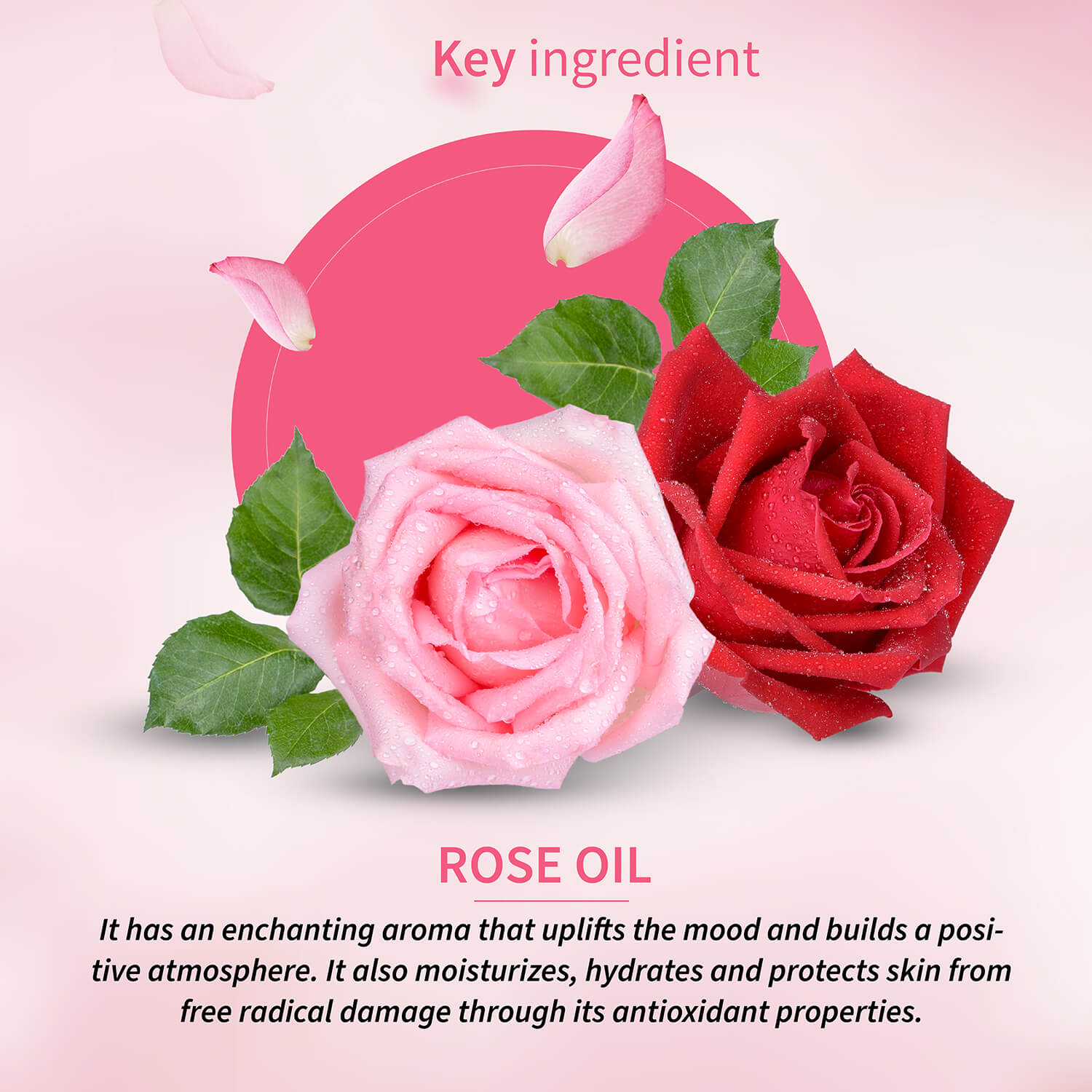 Rose Essential Oil 15 ml - Ayouthveda