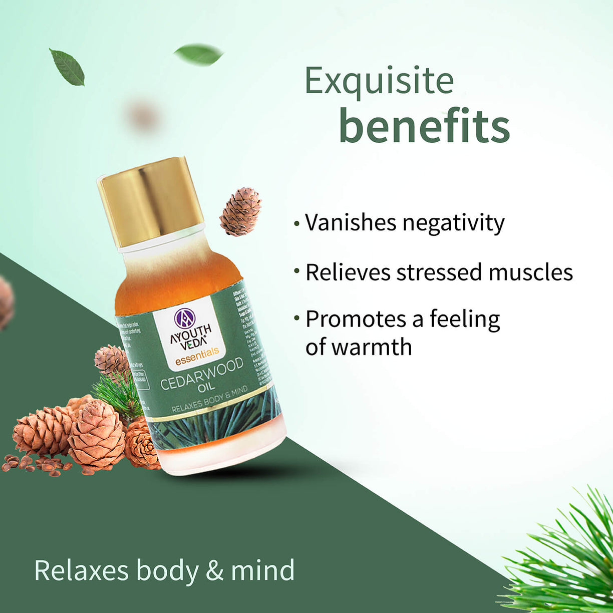 Cedarwood Essential Oil (Net Qty -15ml ) - Ayouthveda