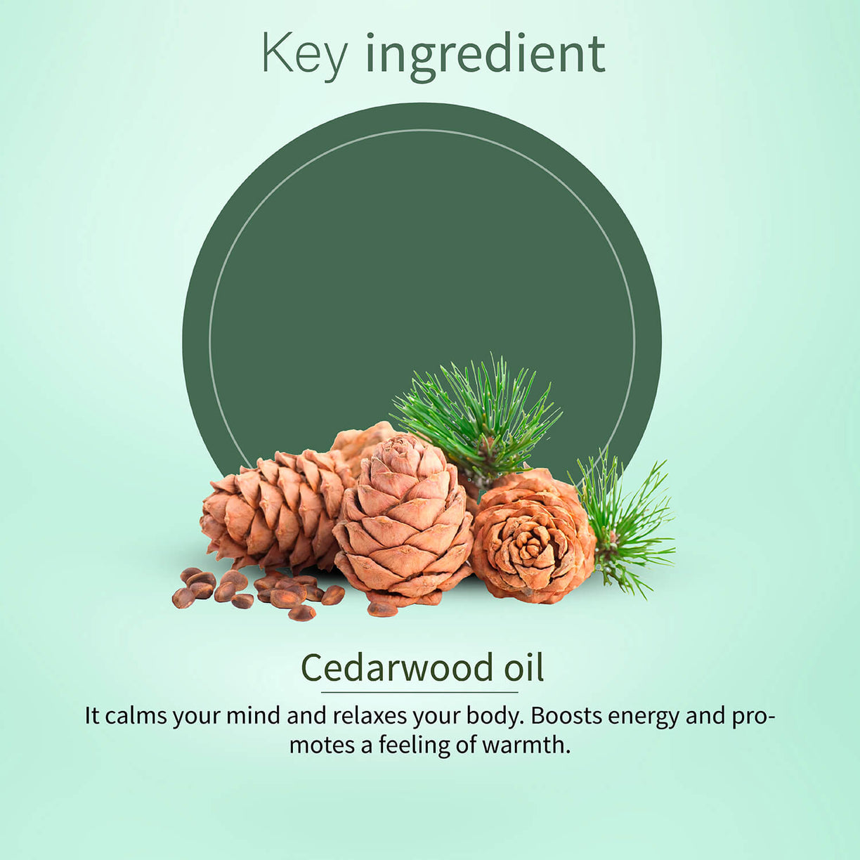 Cedarwood Essential Oil (Net Qty -15ml ) - Ayouthveda