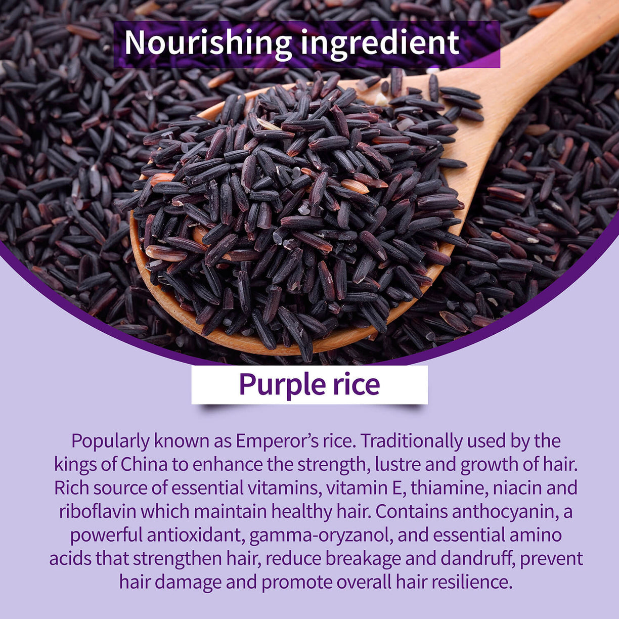 Purple Rice Hair Care Combo (Purple Rice Shampoo 200g + Purple Rice Conditioner200g) - Ayouthveda