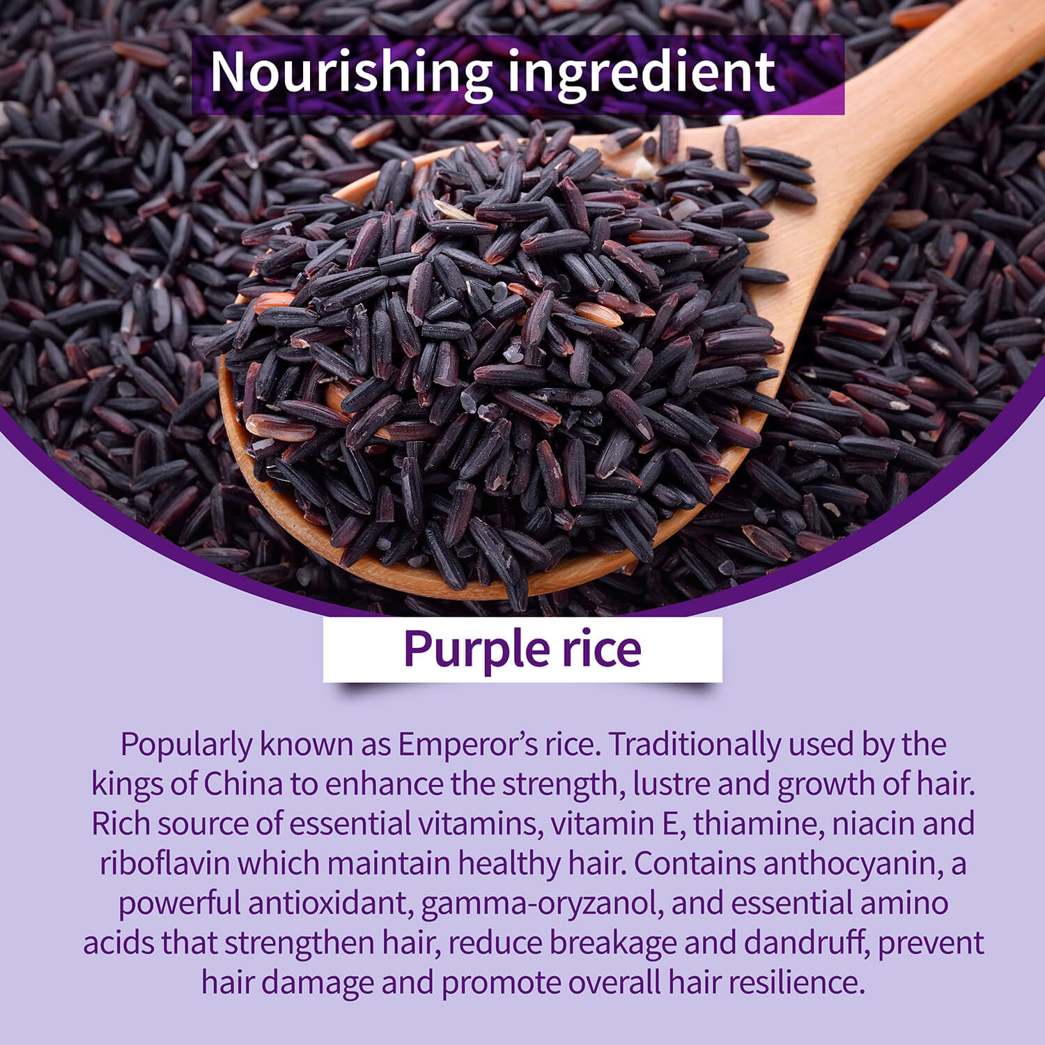 Purple Rice Hair Care Combo (Purple Rice Shampoo 200g + Purple Rice Conditioner200g) - Ayouthveda